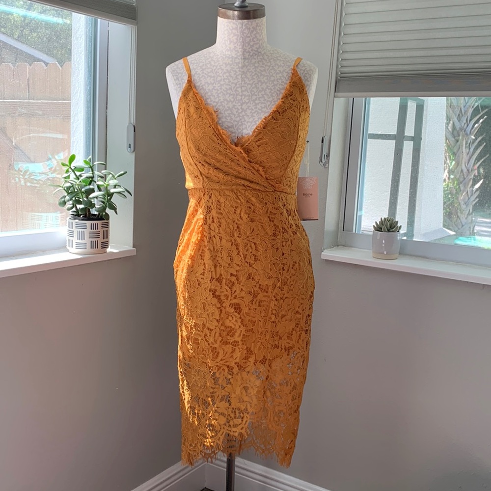 Lace midi dress